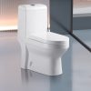 Floor-Standing WC – One Piece Toilet | S-Trap 250mm (Down Connection) | White