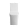 DAMAS luxury One-Piece Toilet | Square Elegant Rimless Design | S-Trap 250mm (Down Connection) | White