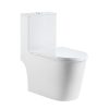 Modern ROMA One-Piece Toilet | Rimless Design | S-Trap 250mm(Down Connection)| White