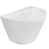 DOMUS Wall Hung Washbasin | 520x435mm | Modern, Sleek & Easy-to-Clean | Glossy White Finish & Matte Black Finish