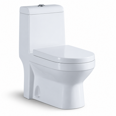 Free Standing One Piece WC – Glossy White | S-Trap 250 mm | Model T2073CR3-WH