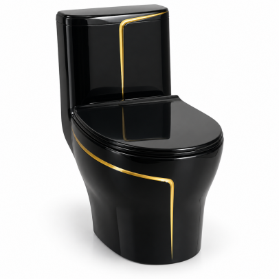 Free Standing One Piece WC – Glossy Black with Gold Accents | S-Trap 250 mm | Model T2077BG